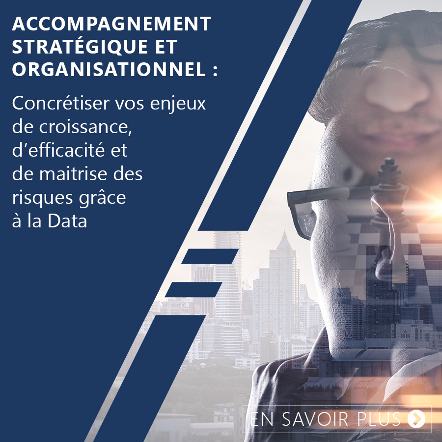 Accompagnement Stratégique et organisationnel